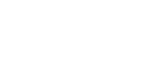 iris logo 